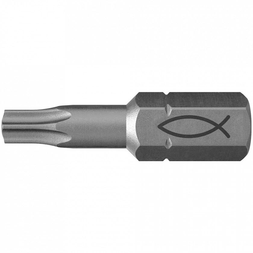 Бита-насадка fischer FPB со шлицем TORX, TX30x25 мм (10 шт.)